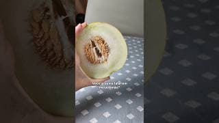 Capa do vídeo Melão - Limão? Você já ouviu falar? #shorts #curiosidades