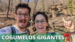 Capa do vídeo A FLORESTA DOS COGUMELOS GIGANTES NA ITÁLIA