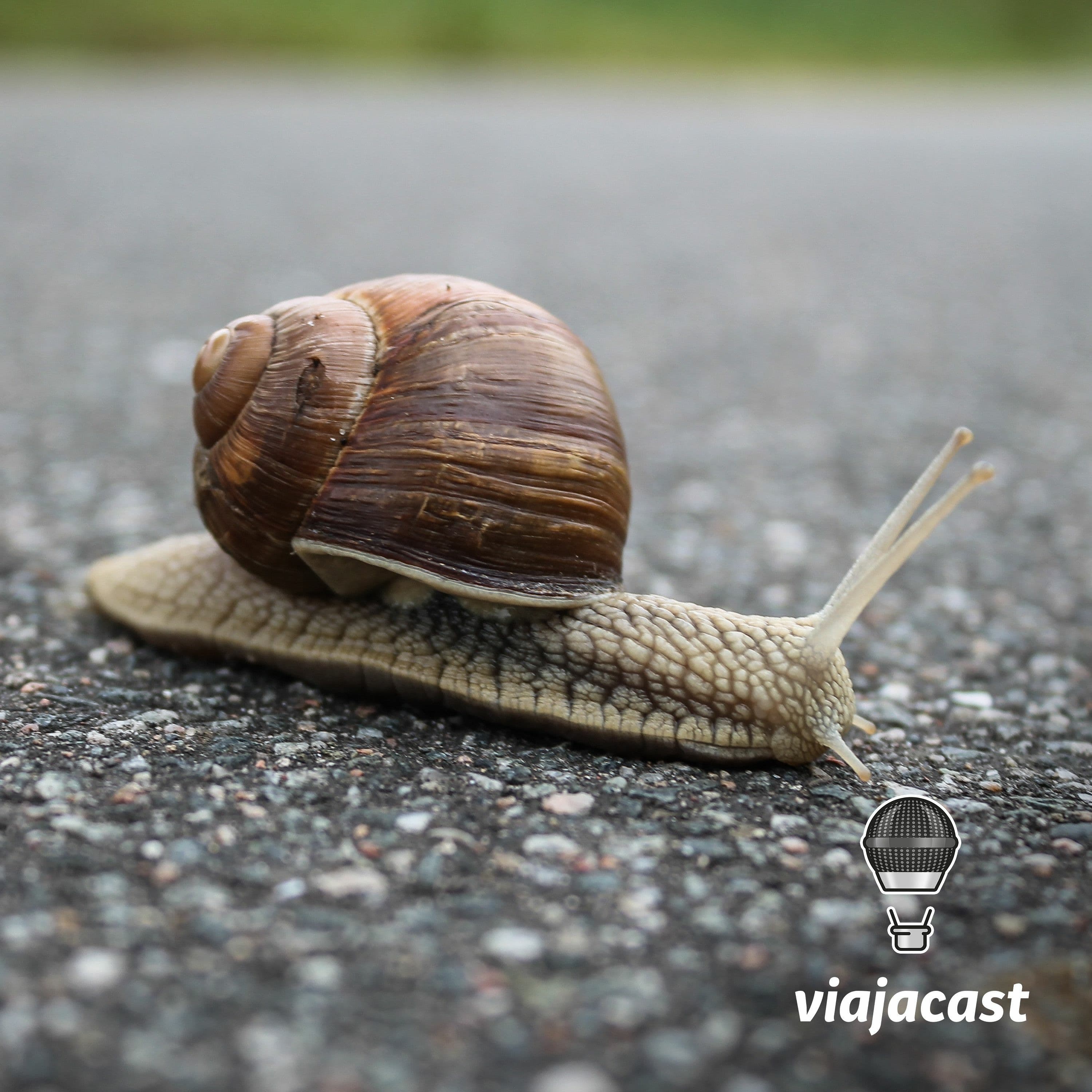 Capa do episódio: Road Trip - Alemanha EP03