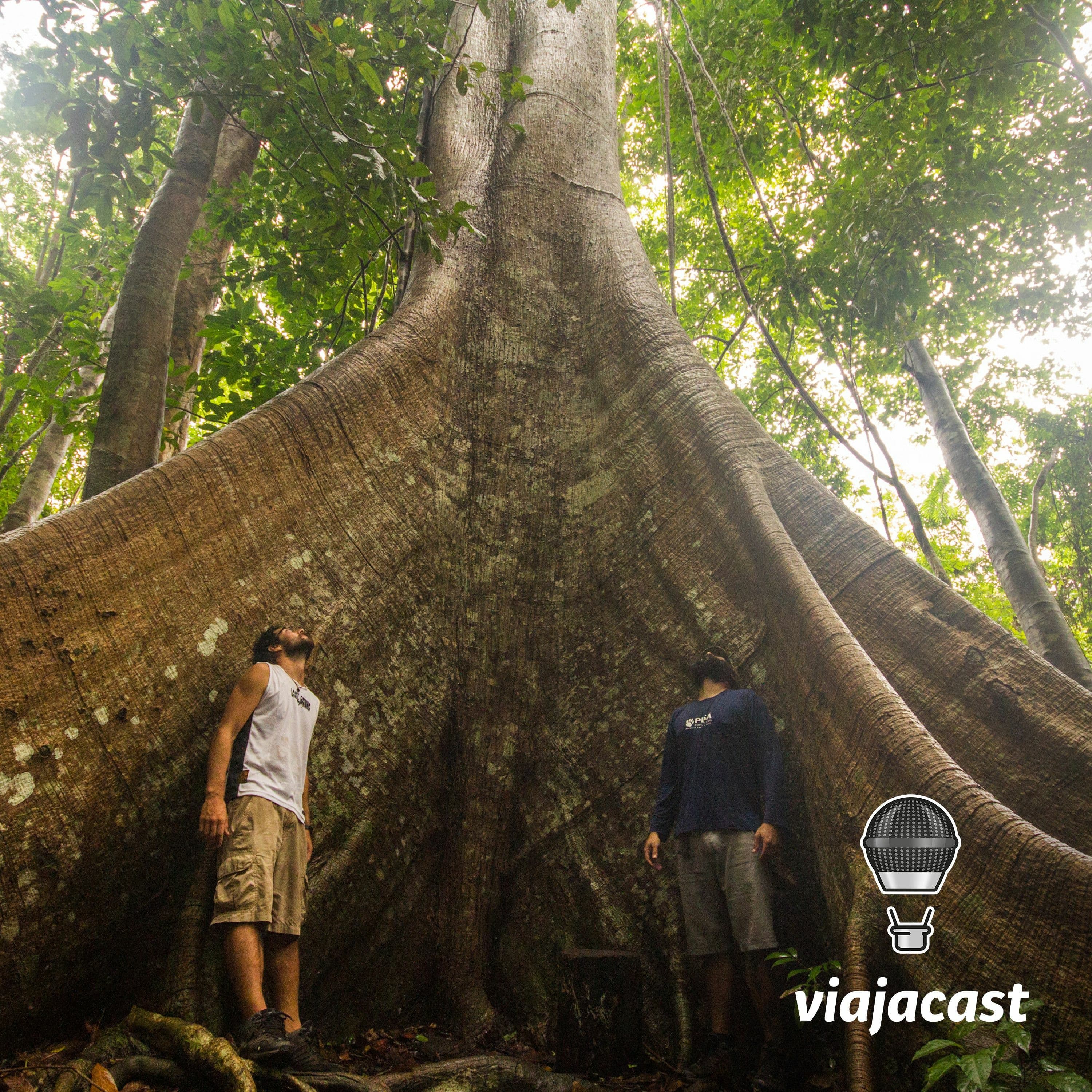 Capa do episódio: Trabalhei em um navio pirata - Willy (mochilão por 24 países)