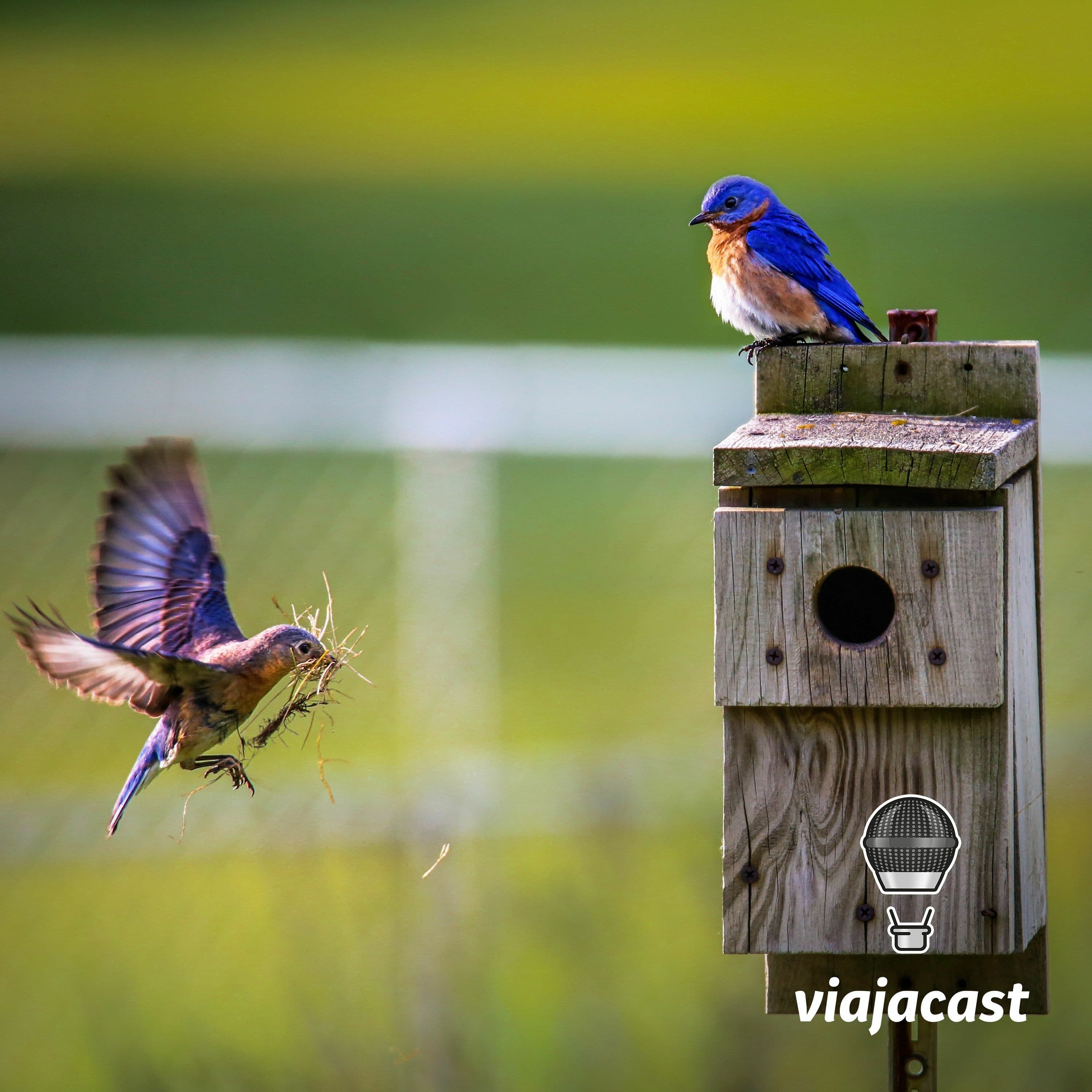 Capa do episódio: As famosas águas termais na Toscana