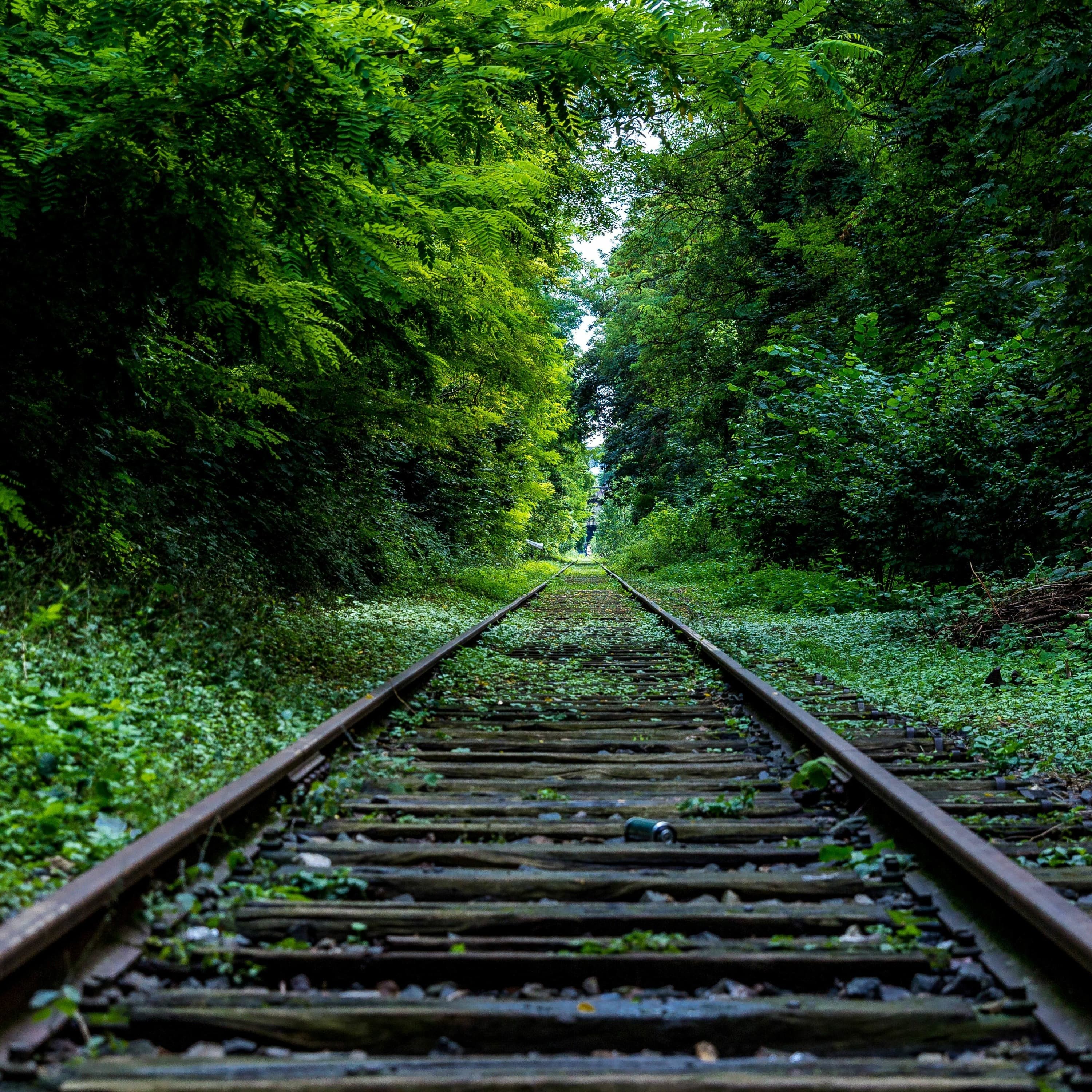 Capa do episódio: Apresentando um outro mundo