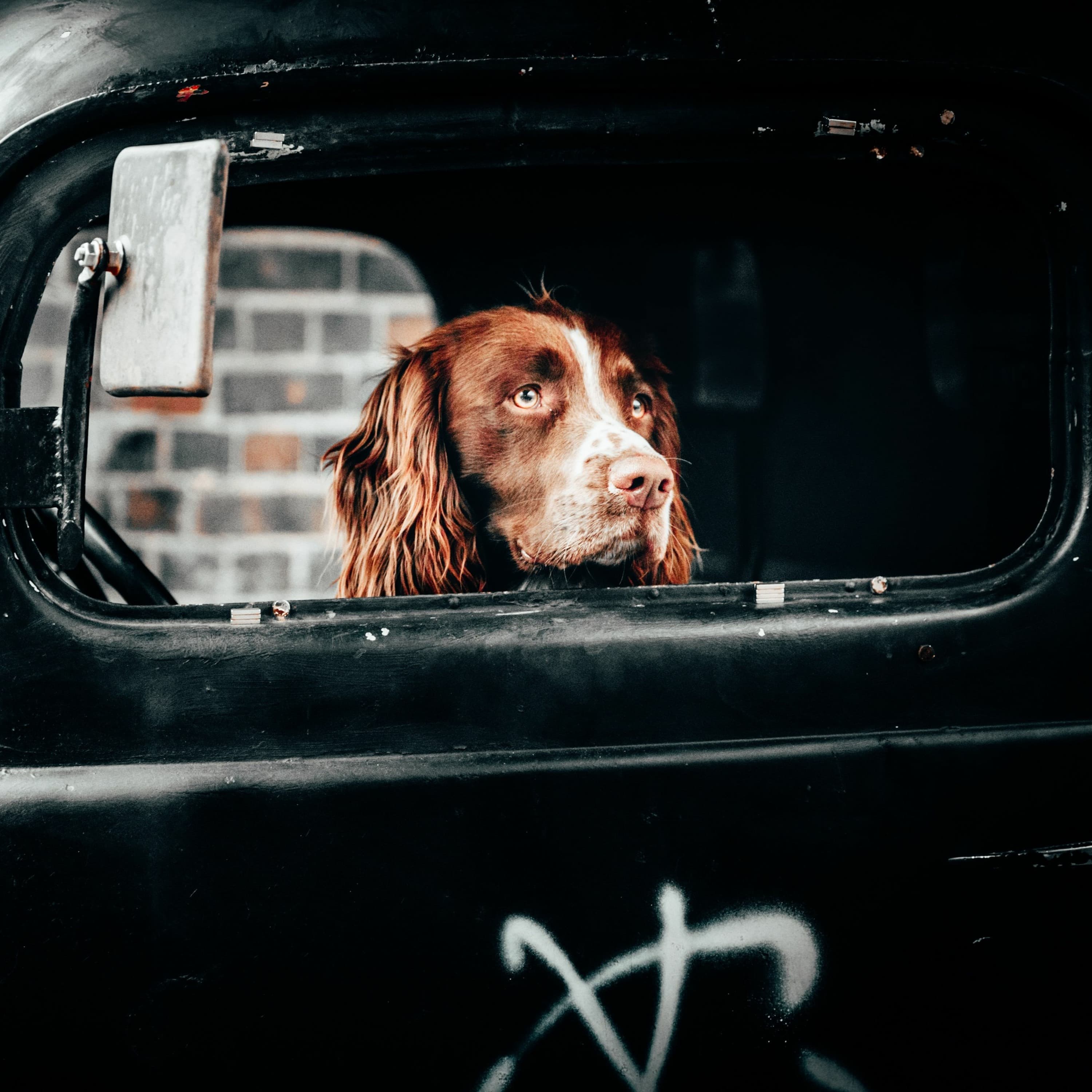 Capa do episódio: Por que viajar? com Bruna Buzo