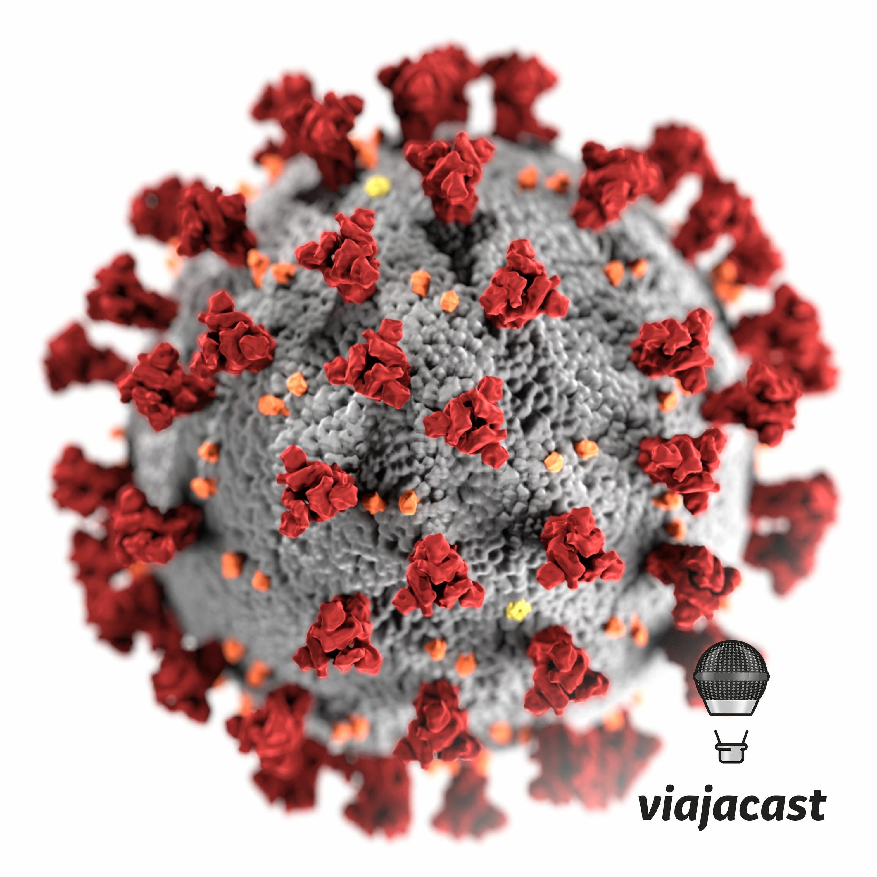 Capa do episódio: Kombi, música e viagem