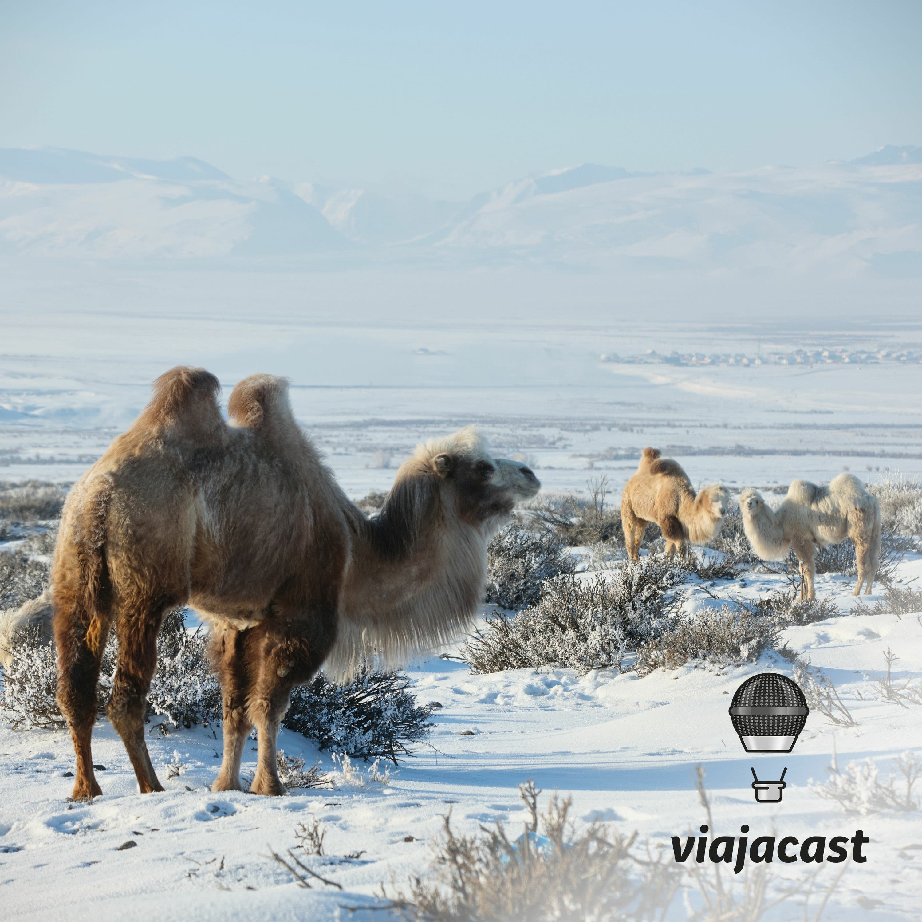 Capa do episódio: Kombi, música e viagem