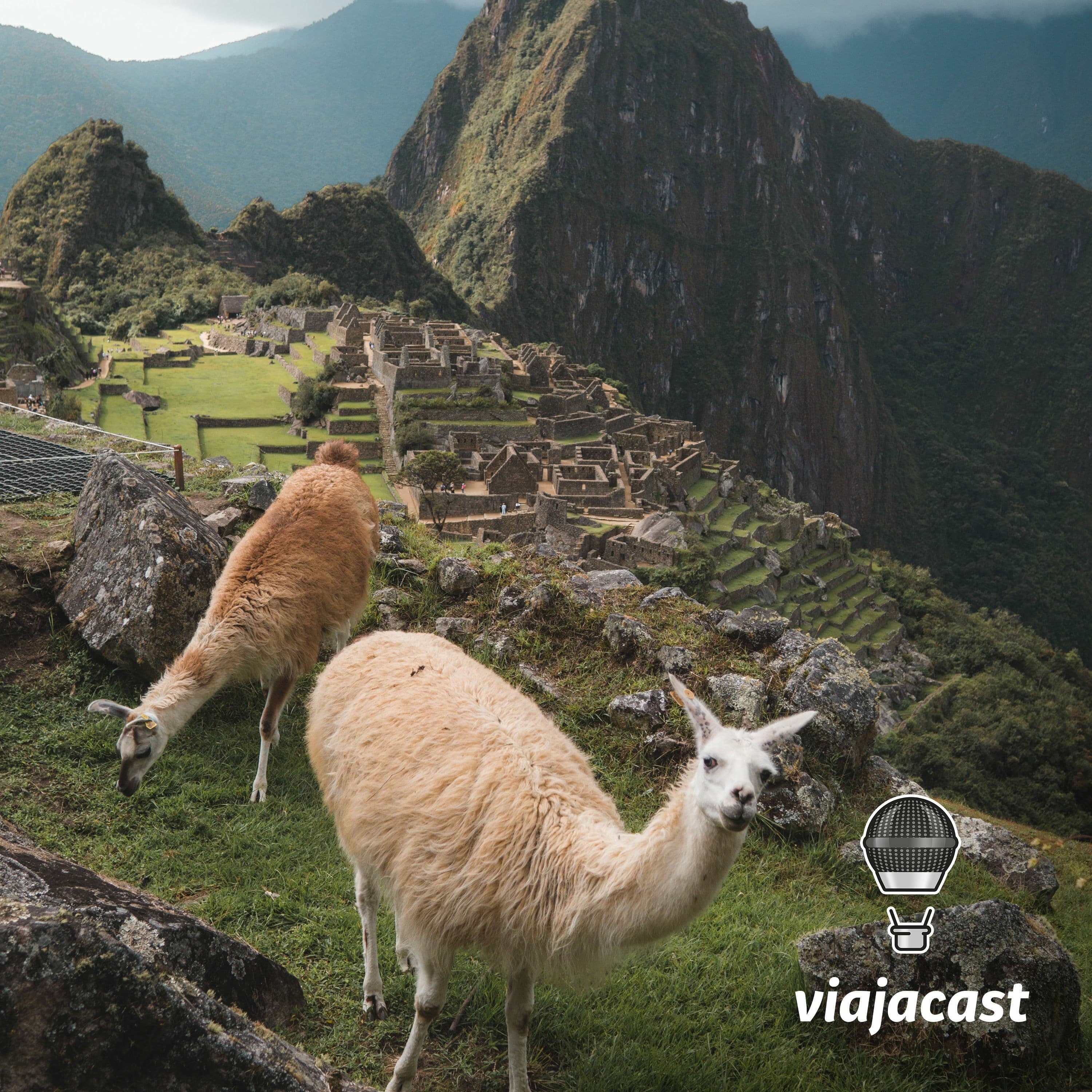 Capa do episódio: Vamos falar sobre a solidão com Rita Calegari