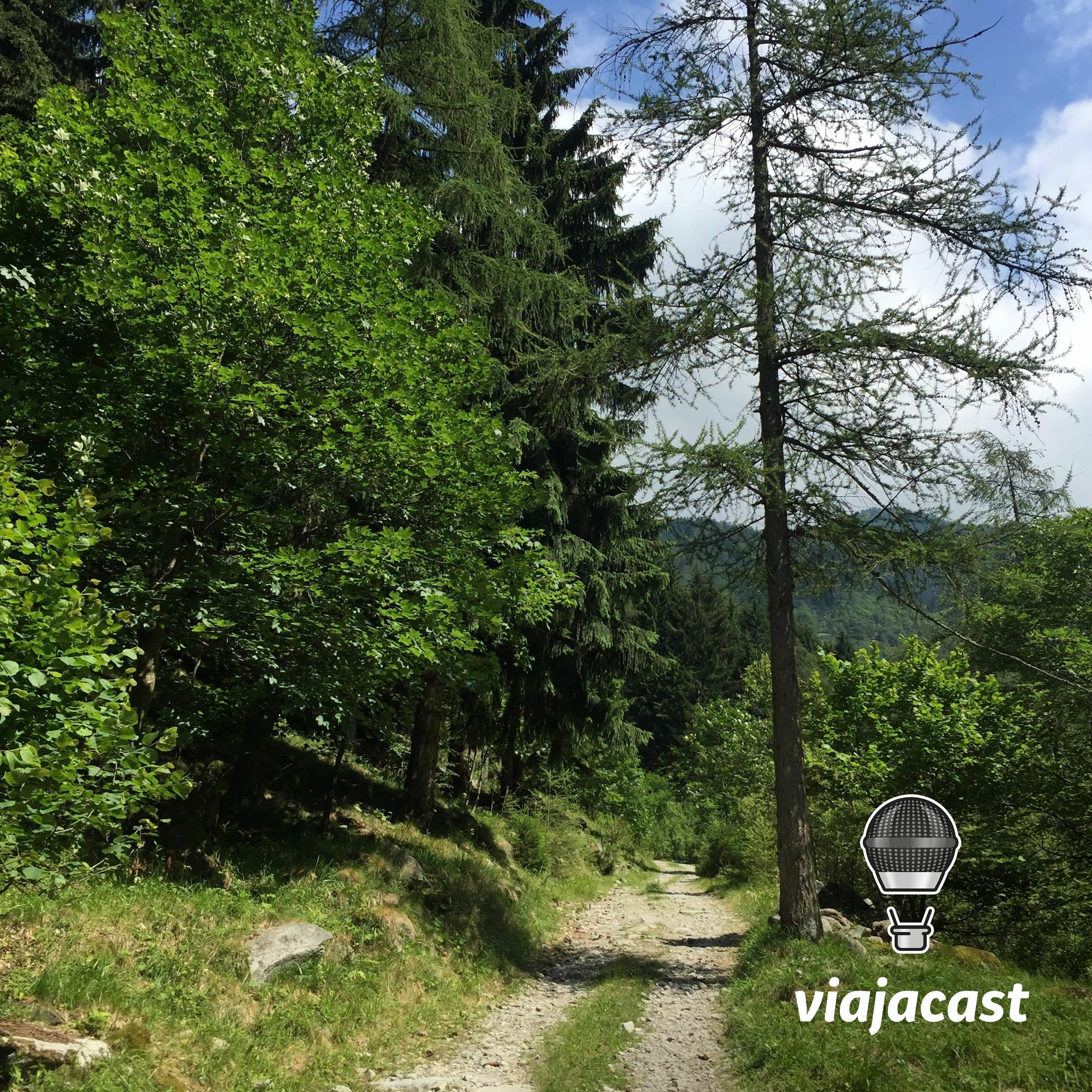 Capa do episódio: Medo de viajar com Micael Suzuki