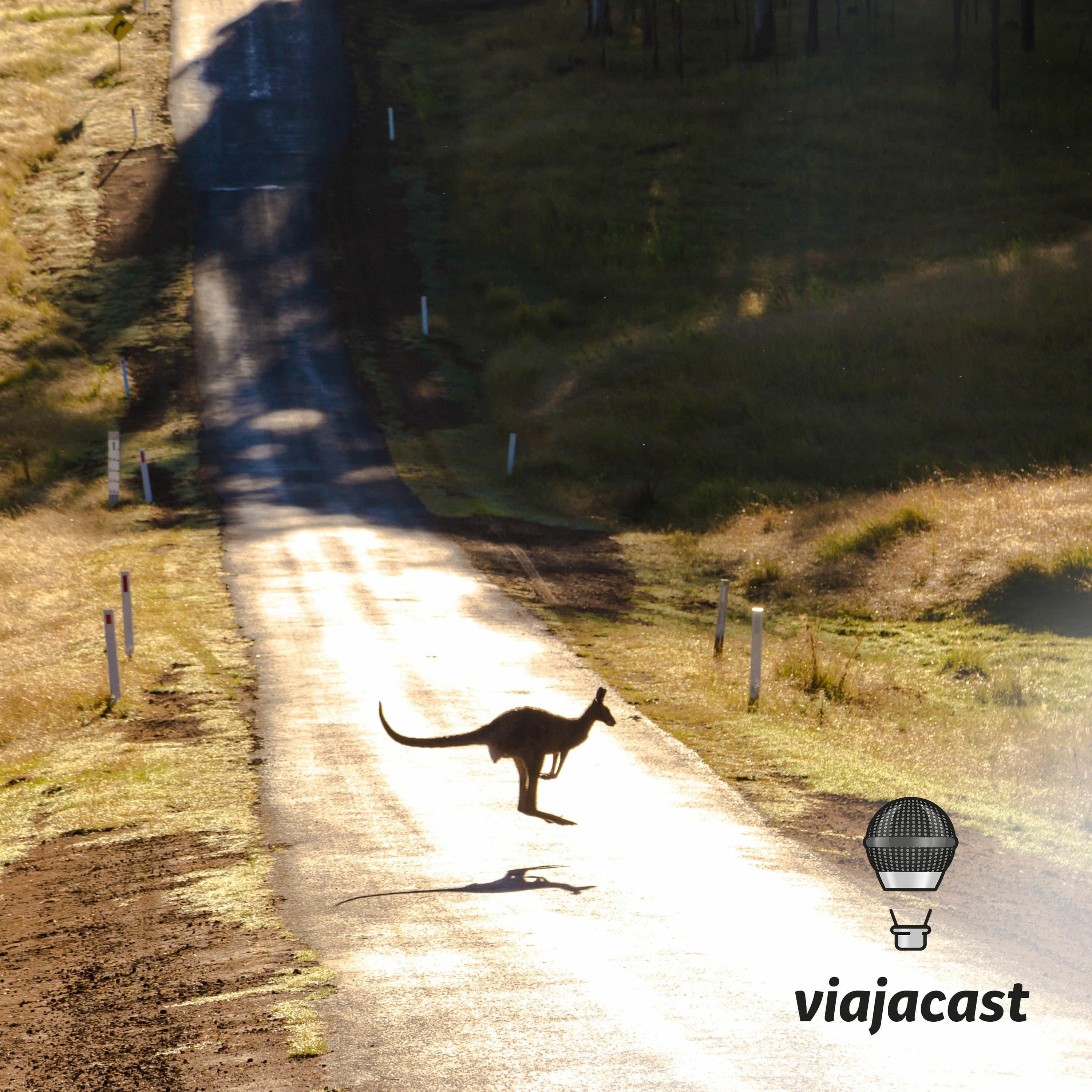 Capa do episódio: Pandas pelo mundo